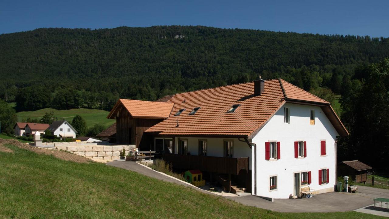 Gorevirat Appartement